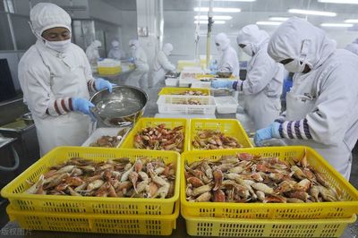 水產品加工廢水治理 兩種高效工藝應對每日300噸不達標排放